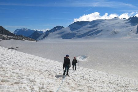 Basic mountaineering course in Adamello Glacier